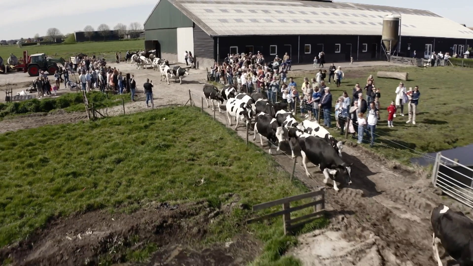 De KOEIEN op de zorgboerderij mogen EINDELIJK naar buiten
