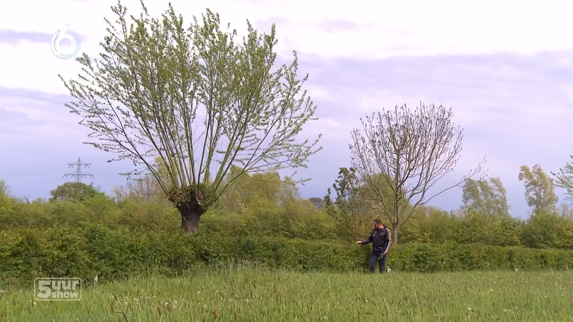 Het mooie Nederlandse landschap