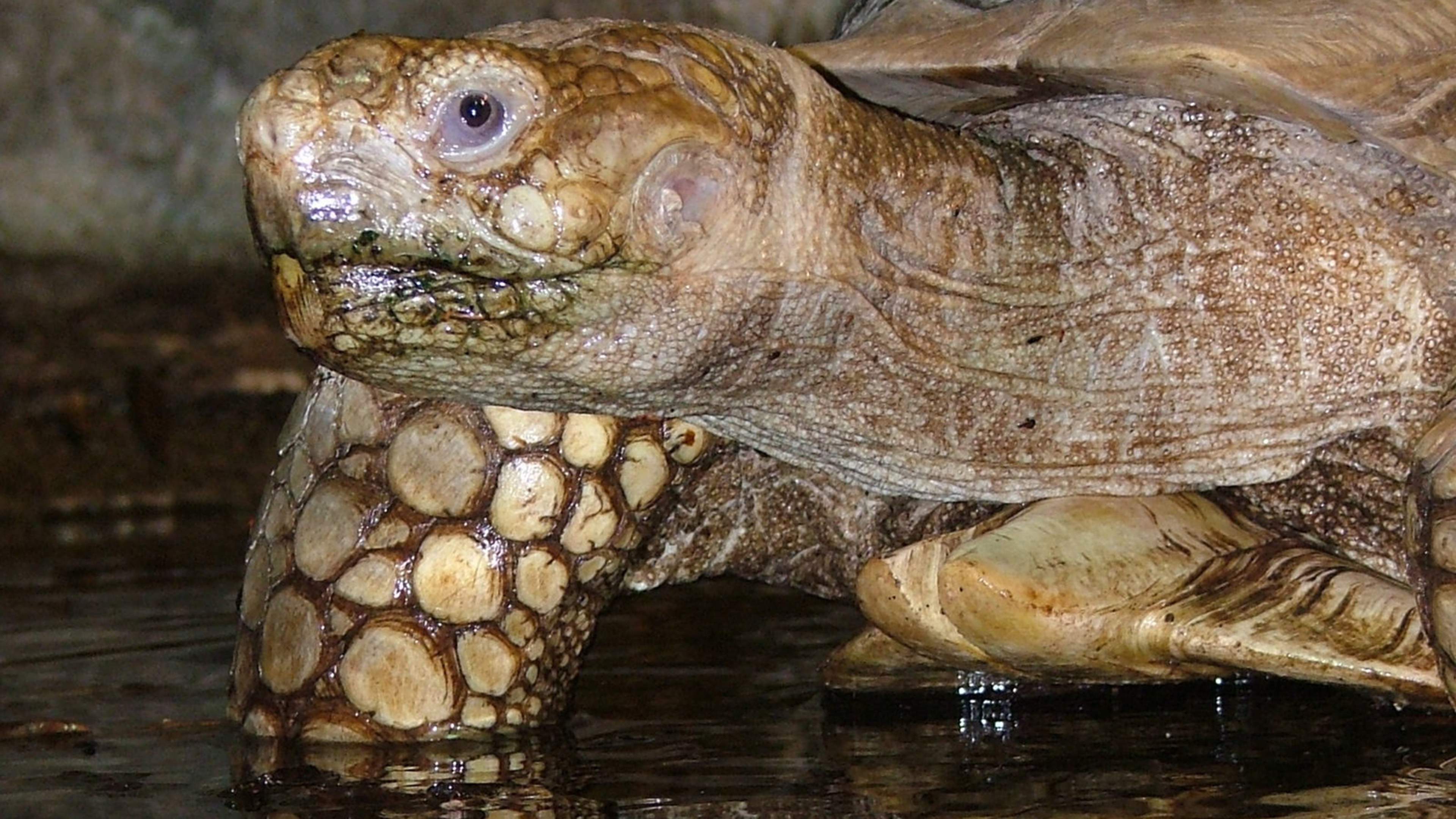 Een dag in de dierentuin