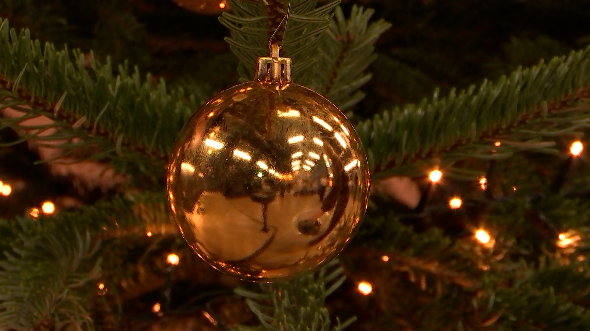 Klik hier om De Bondgenoten van 25 december te bekijken.