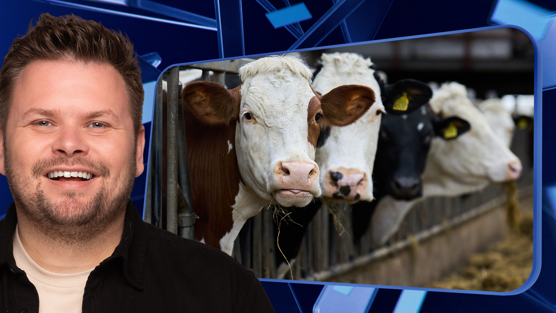 Klik hier om Nieuws van de Dag van 17 december te bekijken.