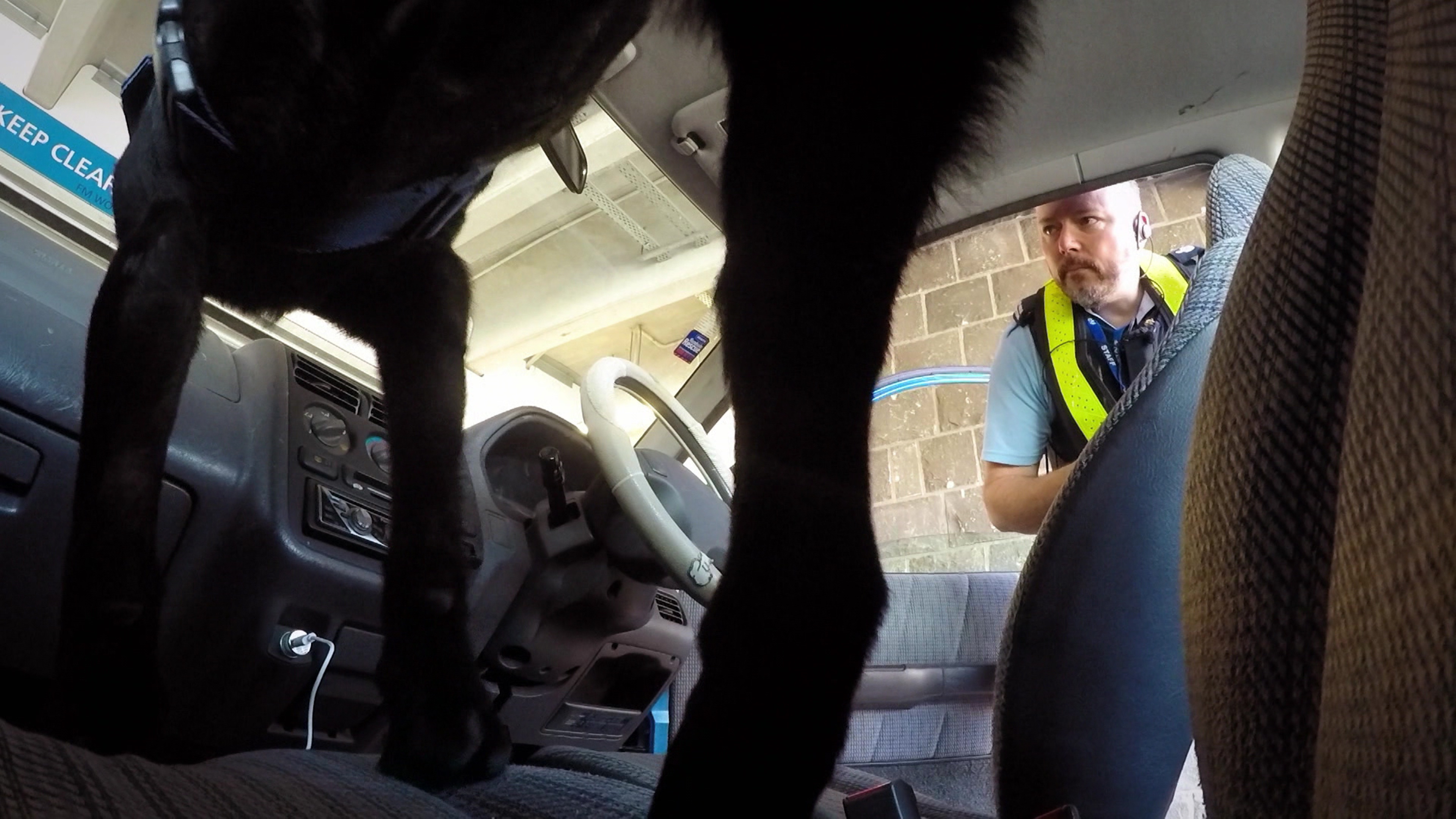 Border Security: Dog Patrol