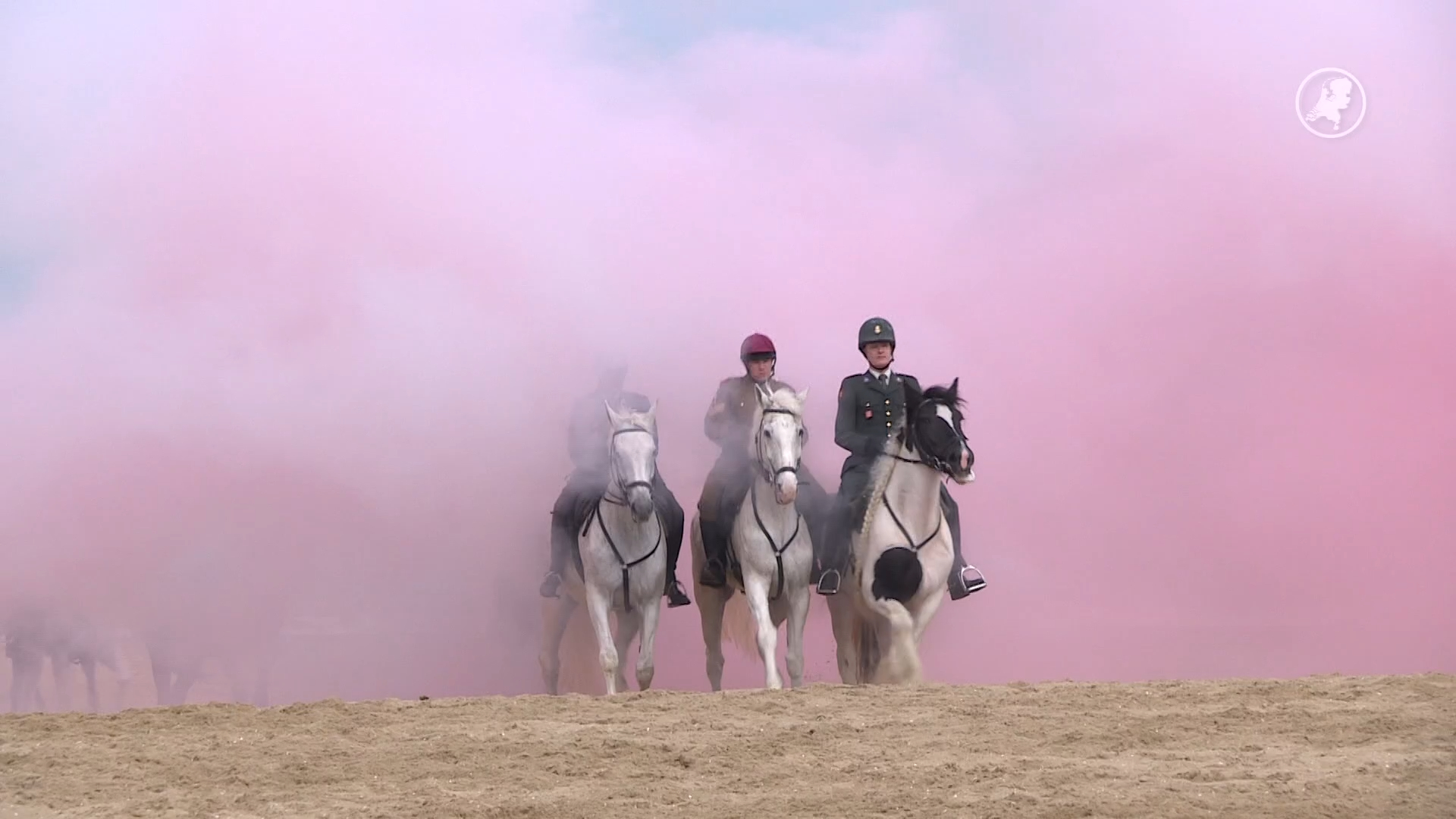 PvdD wil einde aan eeuwenoude traditie met paarden op Prinsjesdag