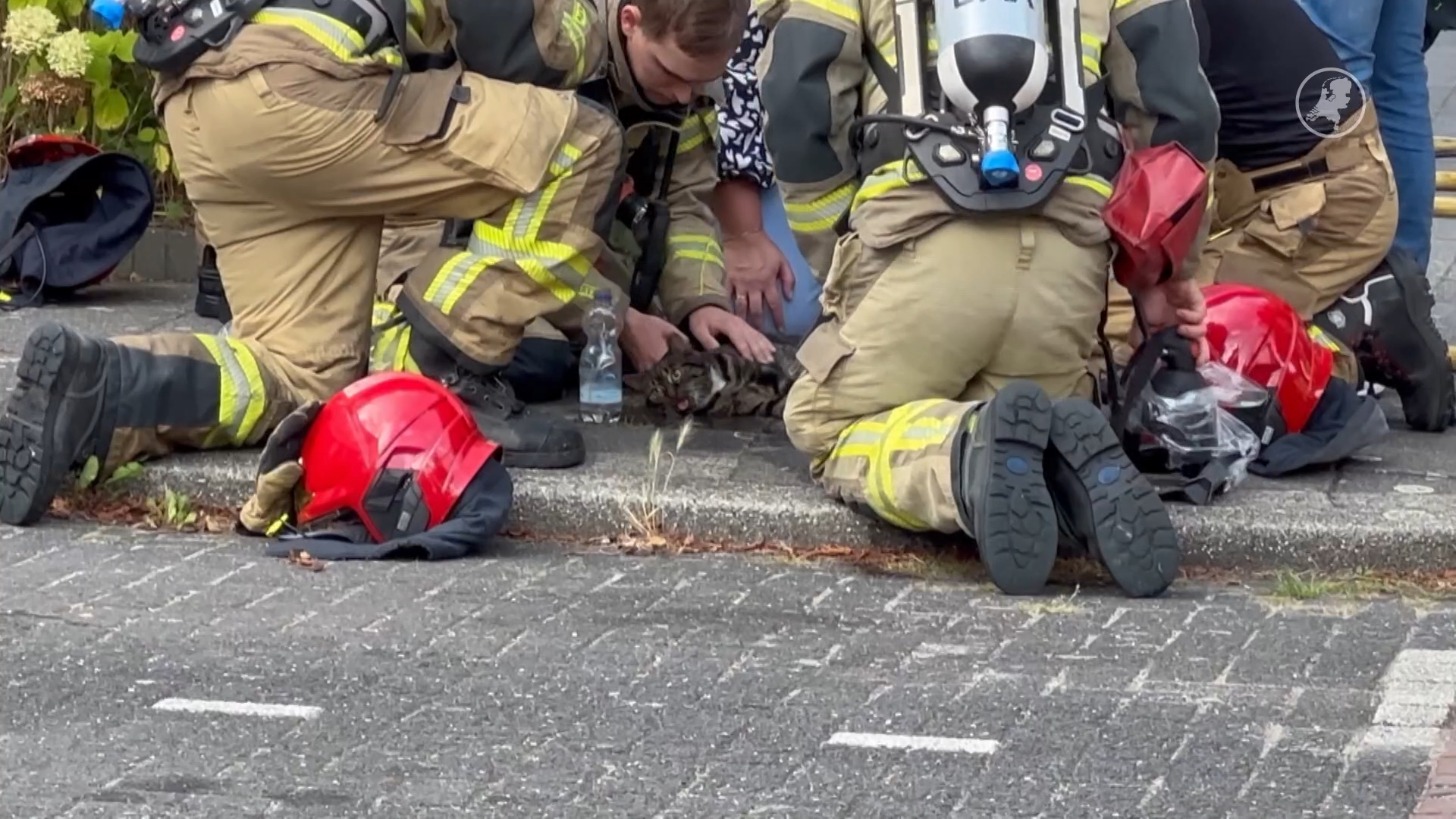 Brandweer redt bewusteloze kat uit brandende woning in Amstelveen