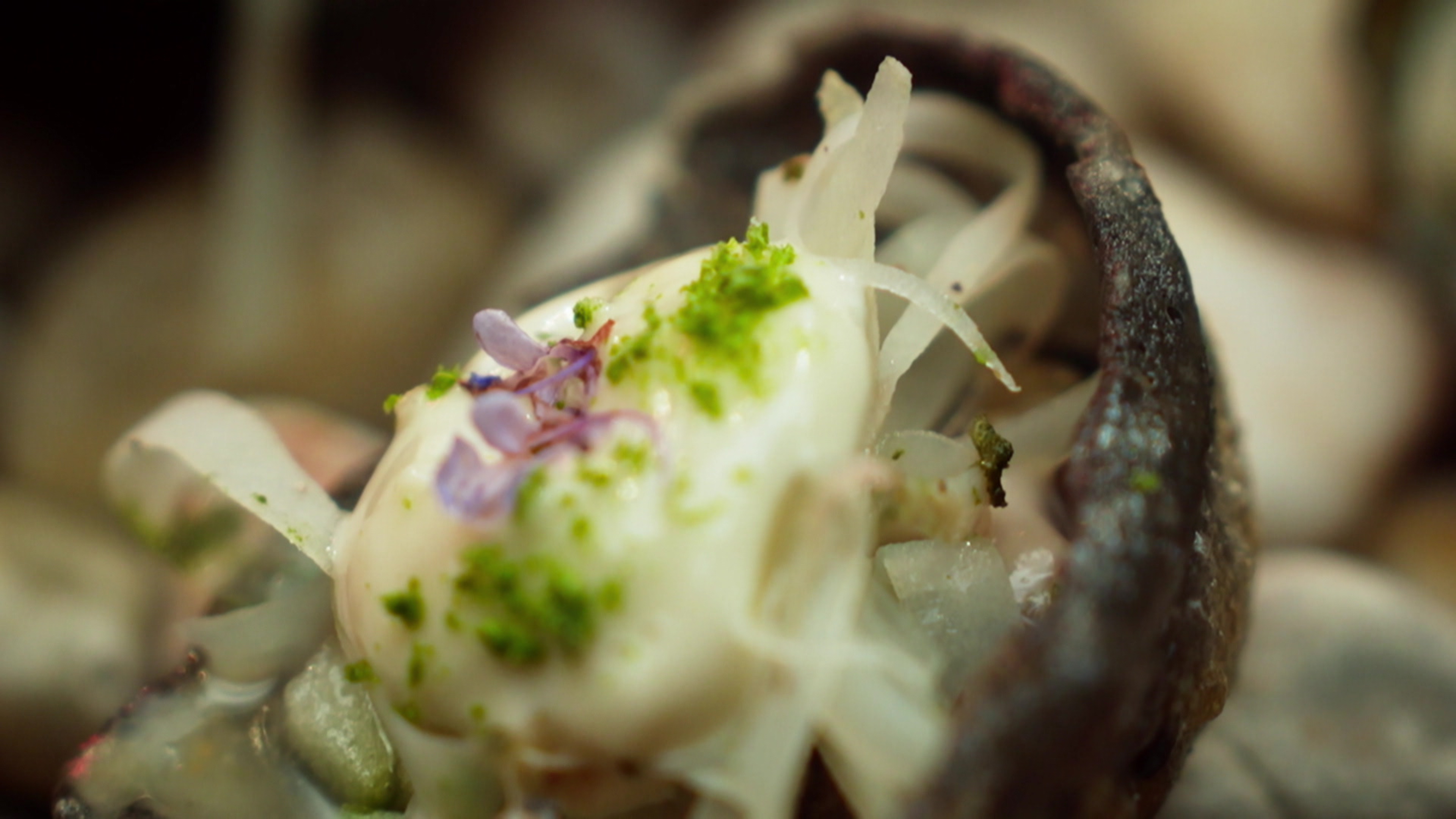 Klik hier om MasterChef Australia van 21 november te bekijken.