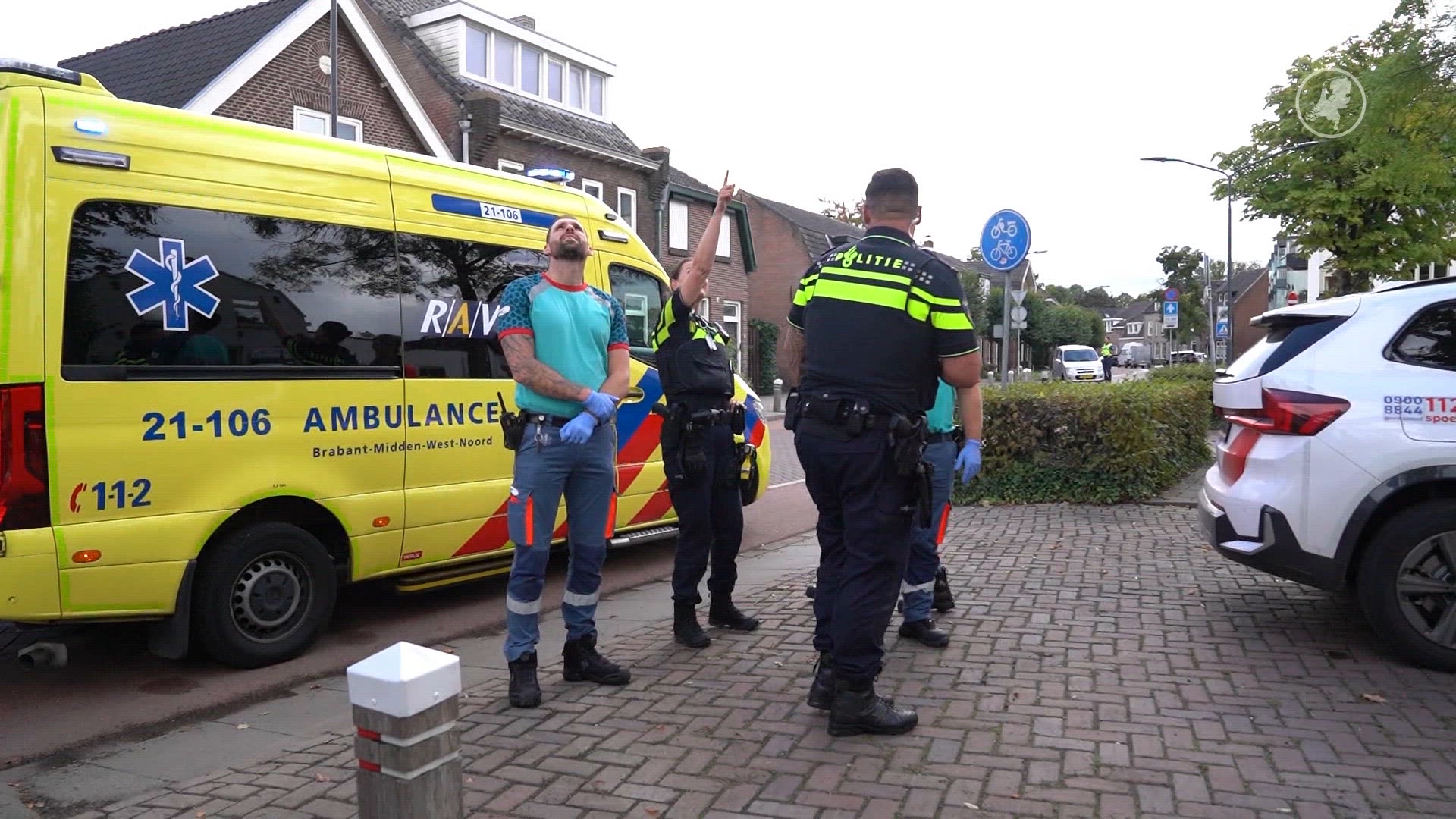 Man zwaargewond na sprong door aanval Aziatische hoornaars