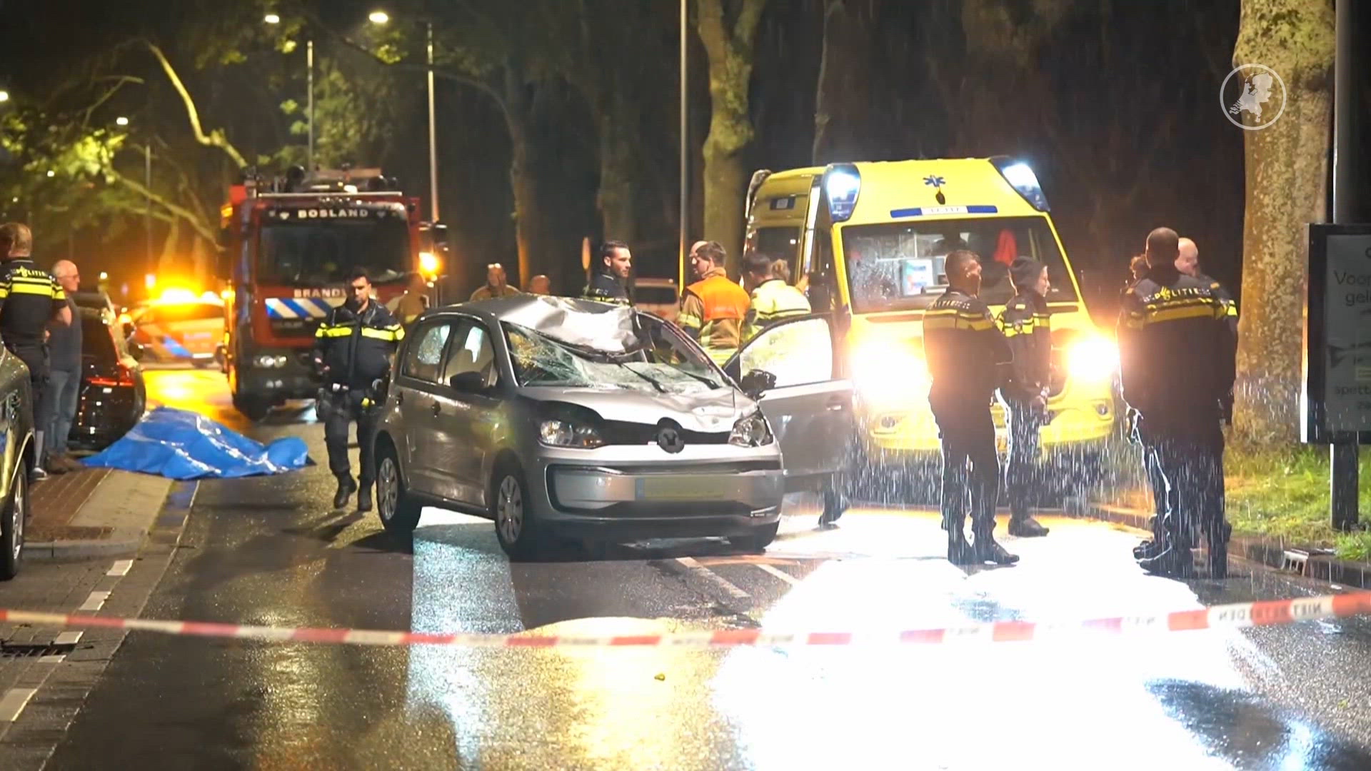 Paard overleden na aanrijding met auto in Rotterdam