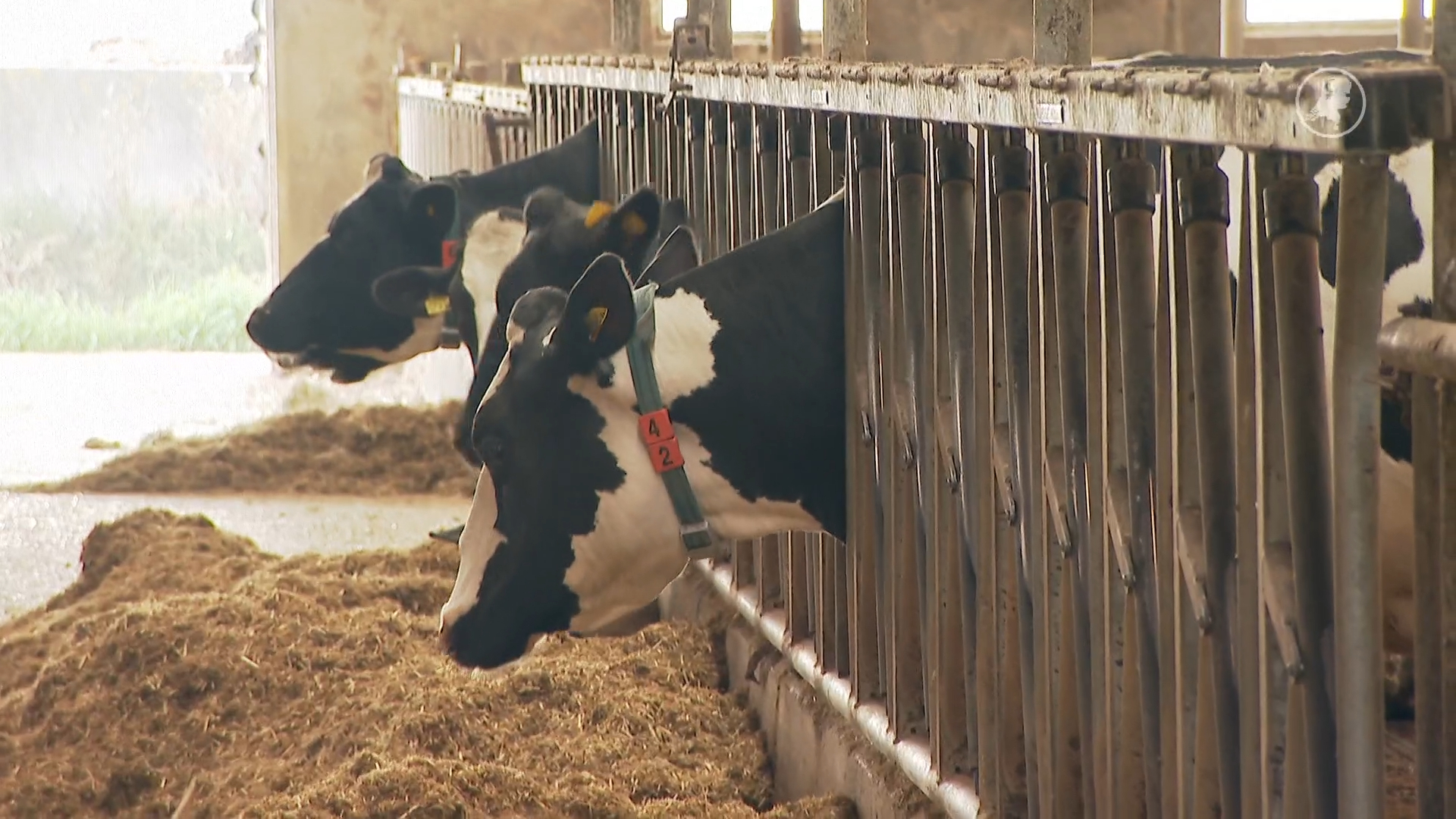 Veel waardering voor boeren na jaren strijd, maar harde acties verdelen Nederland