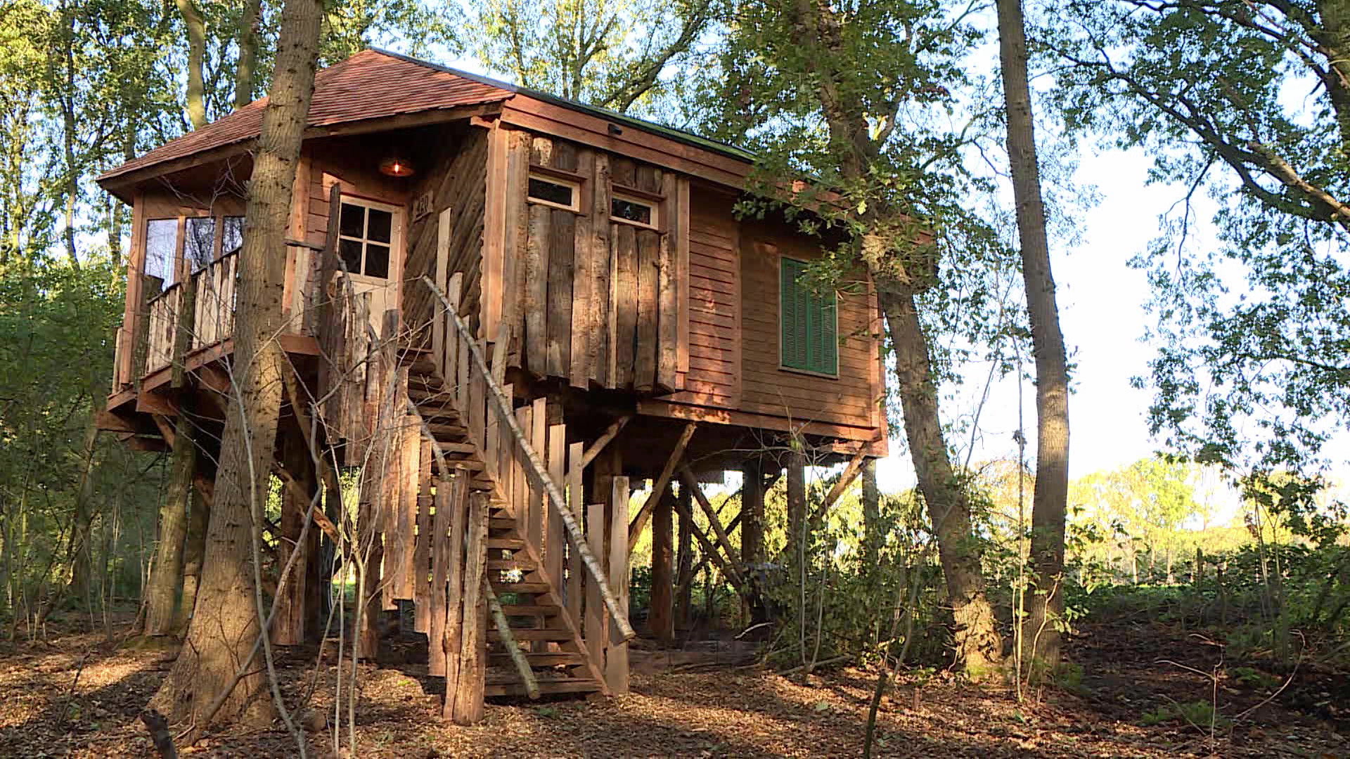 Boomhut XXL