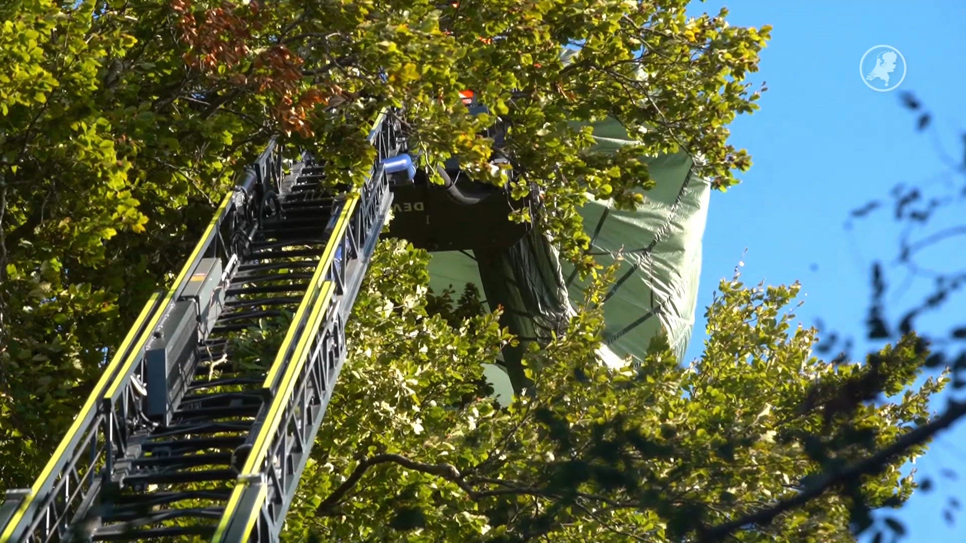 Een parachutist is hoog in een boom terechtgekomen