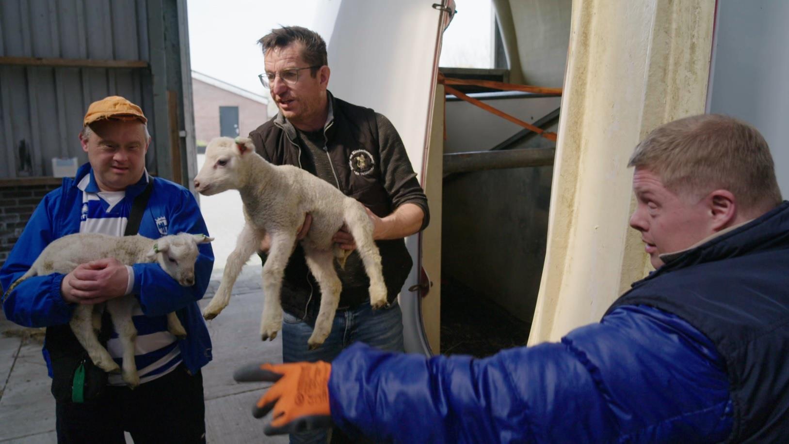 Boeren, Bijbels en Beauties