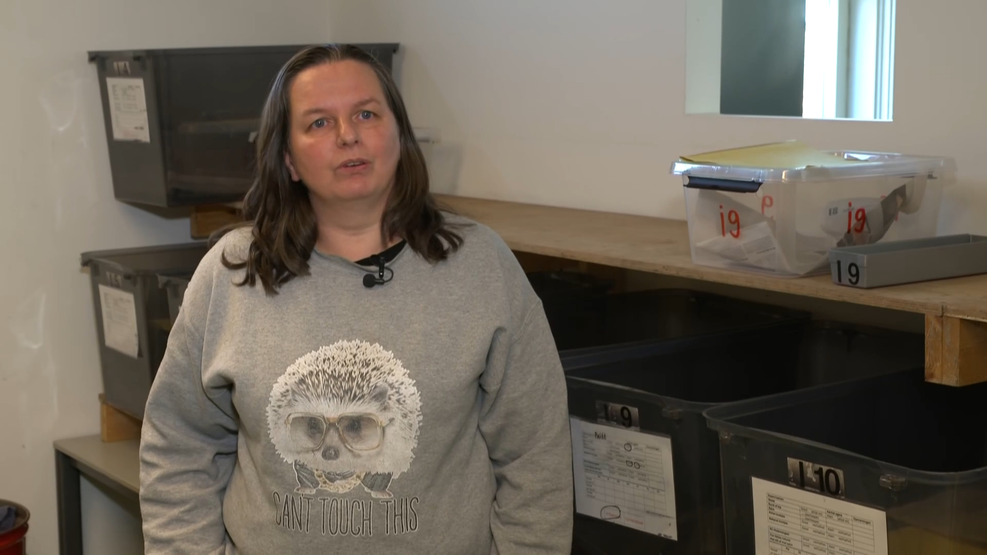 Egelopvang waarschuwt: pas op met lijmplanken, ook egels slachtoffer