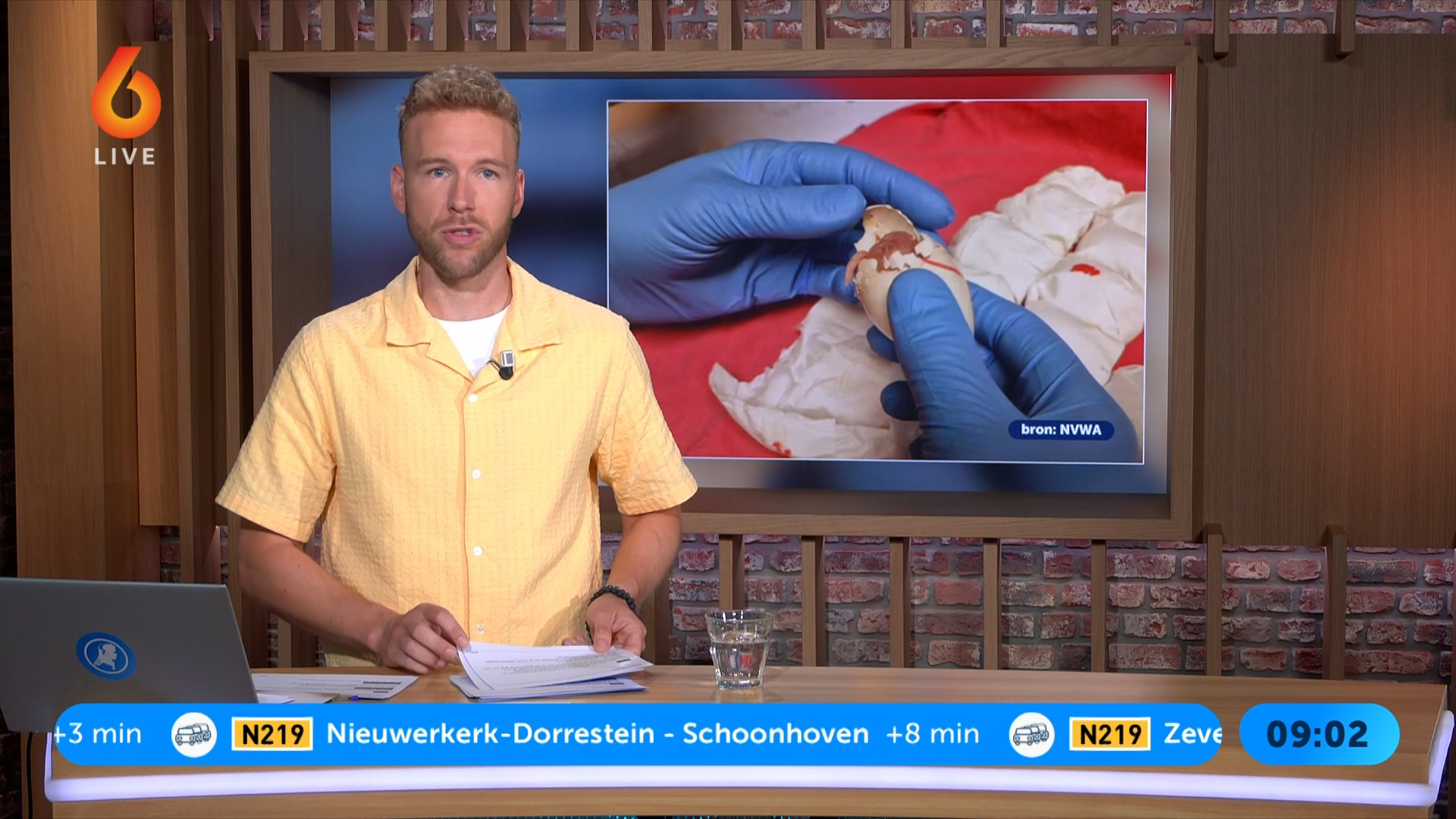 Man moet 100 dagen de cel in voor smokkelen papegaaieieren