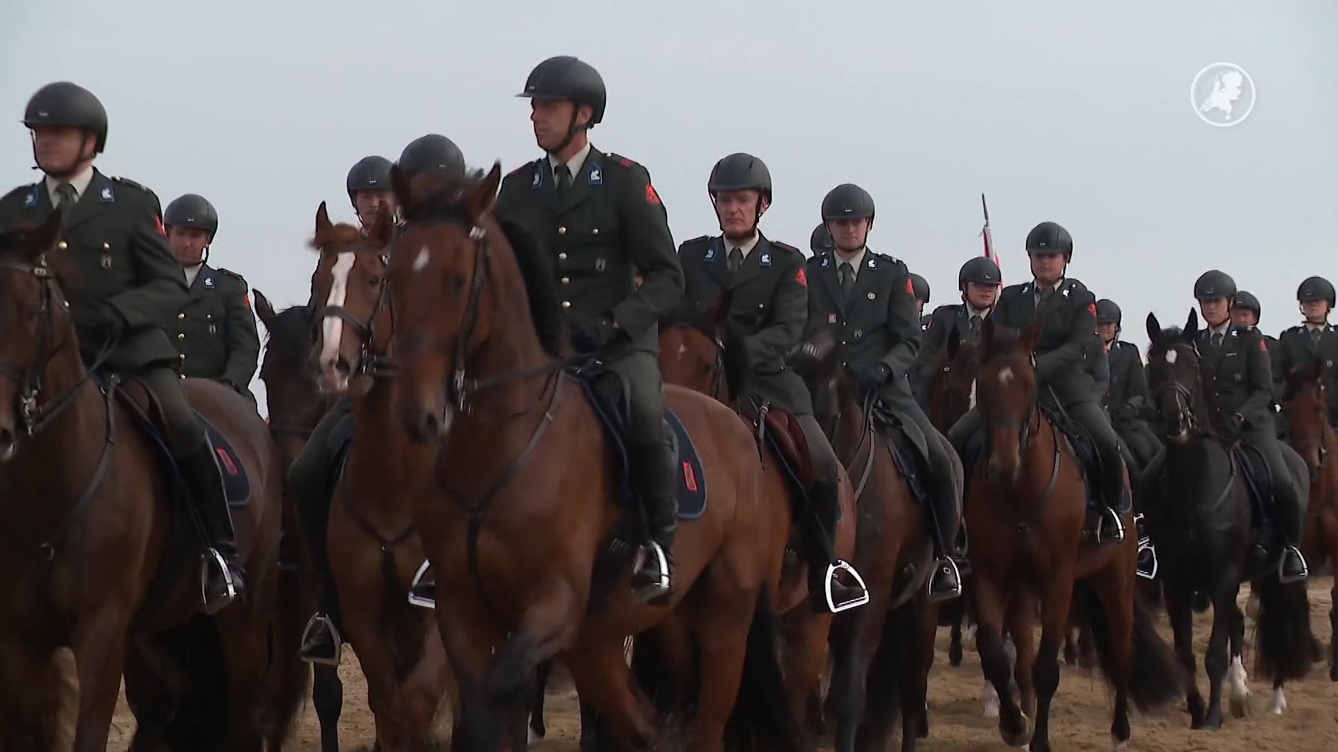 Paarden van het koningspaar maken zich klaar voor Prinsjesdag