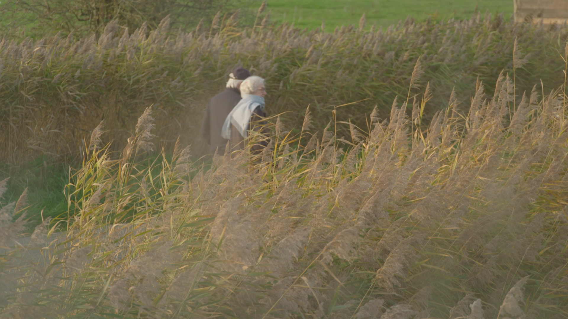 Klik hier om De Perfecte Plek van 30 november te bekijken.