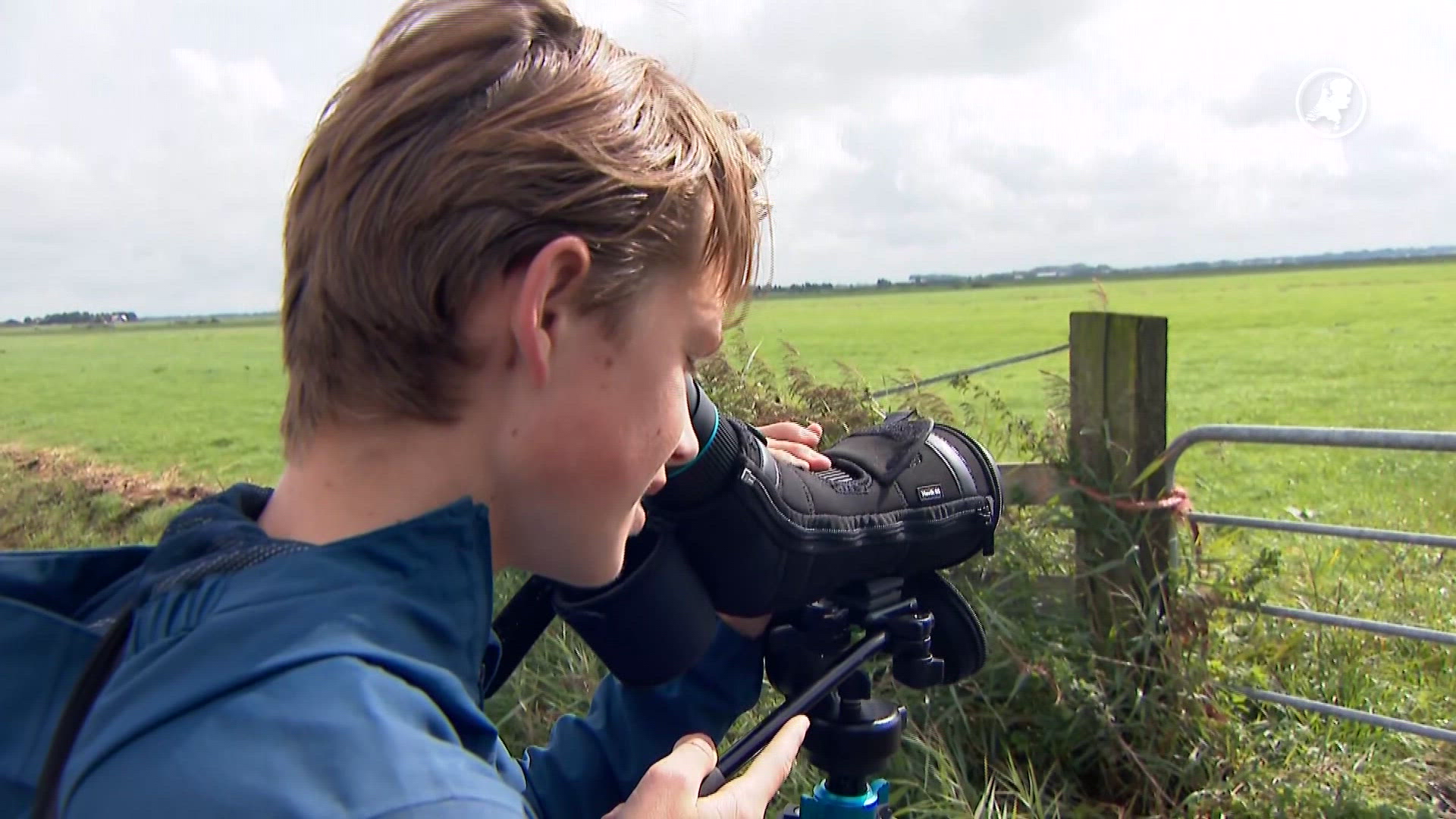 Vogelspotters massaal richting Eemnes voor zeldzame roofvogel