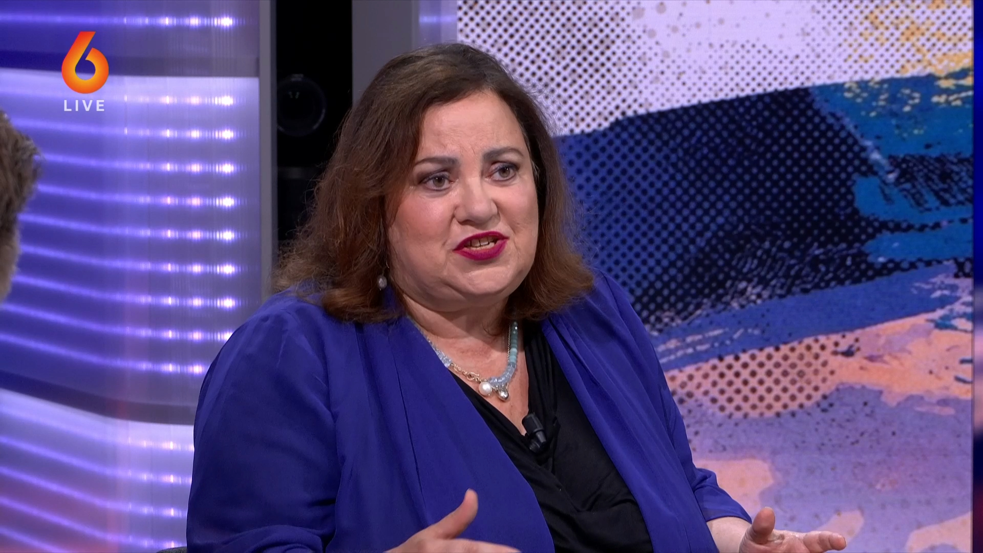 Nausicaa Marbe: ‘Nederland moet kijken naar nieuwe migratiewet van Zweden’