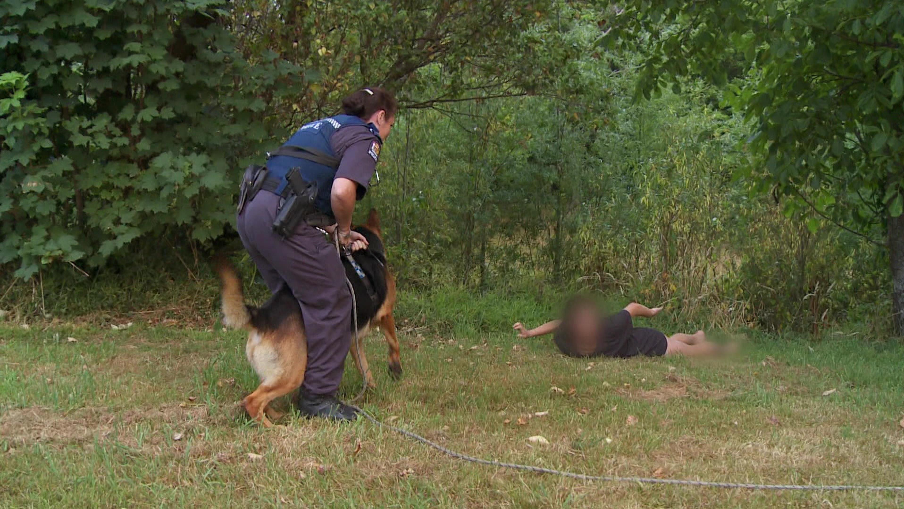 Border Security: Dog Patrol