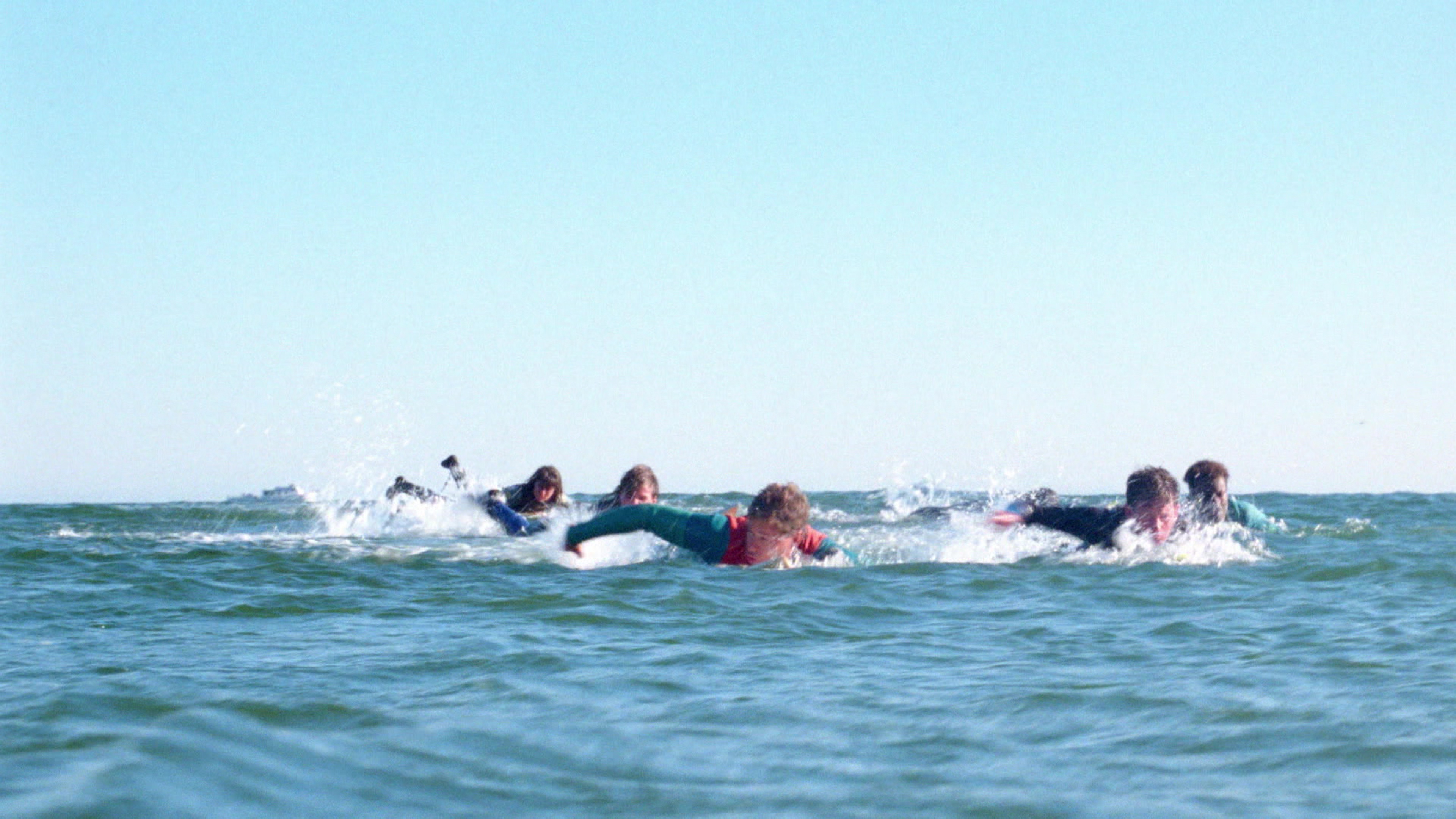 Shark Derby
