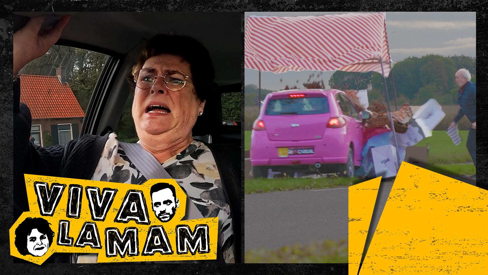 Auto stelen
