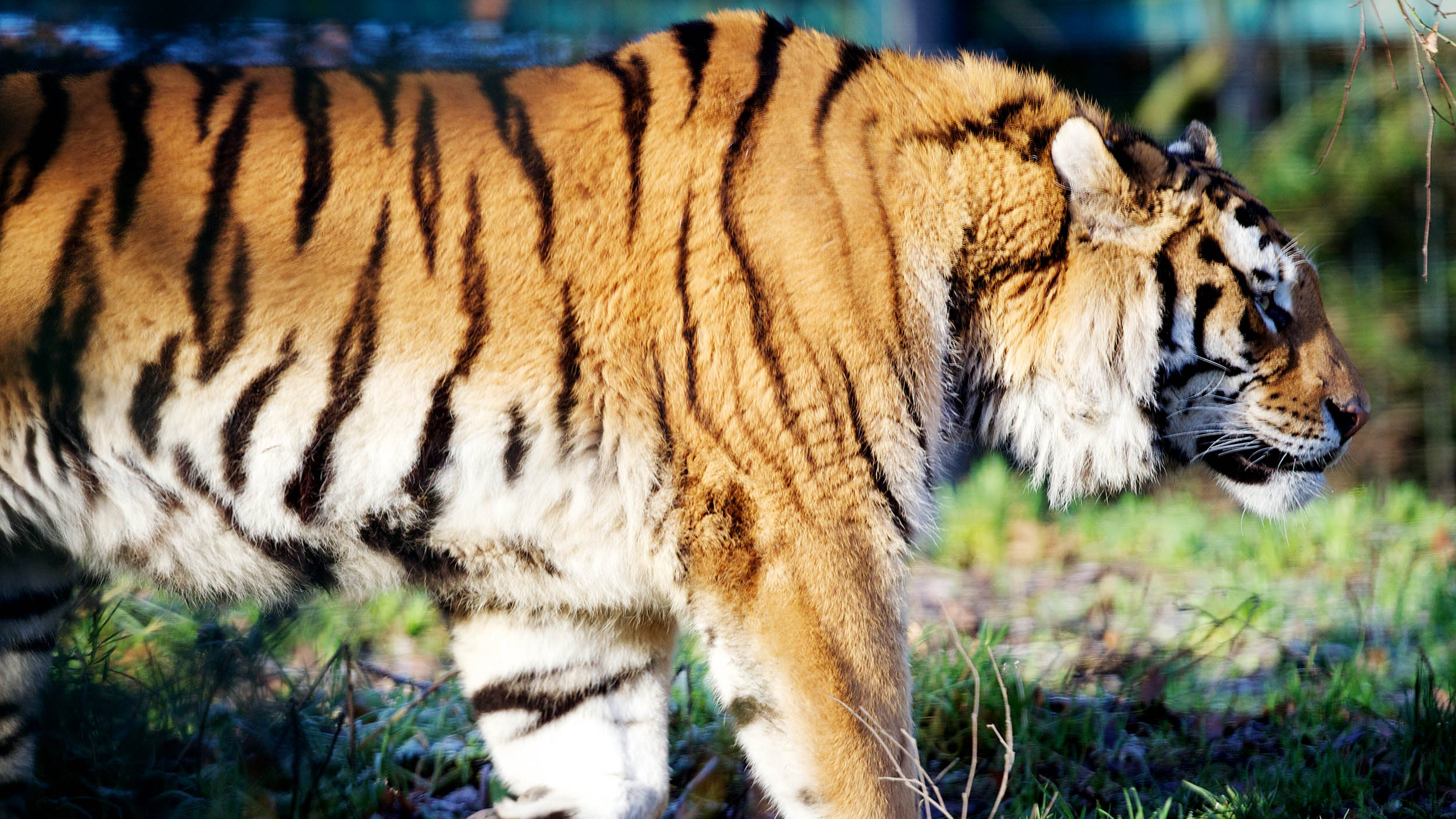 Een dag in de dierentuin