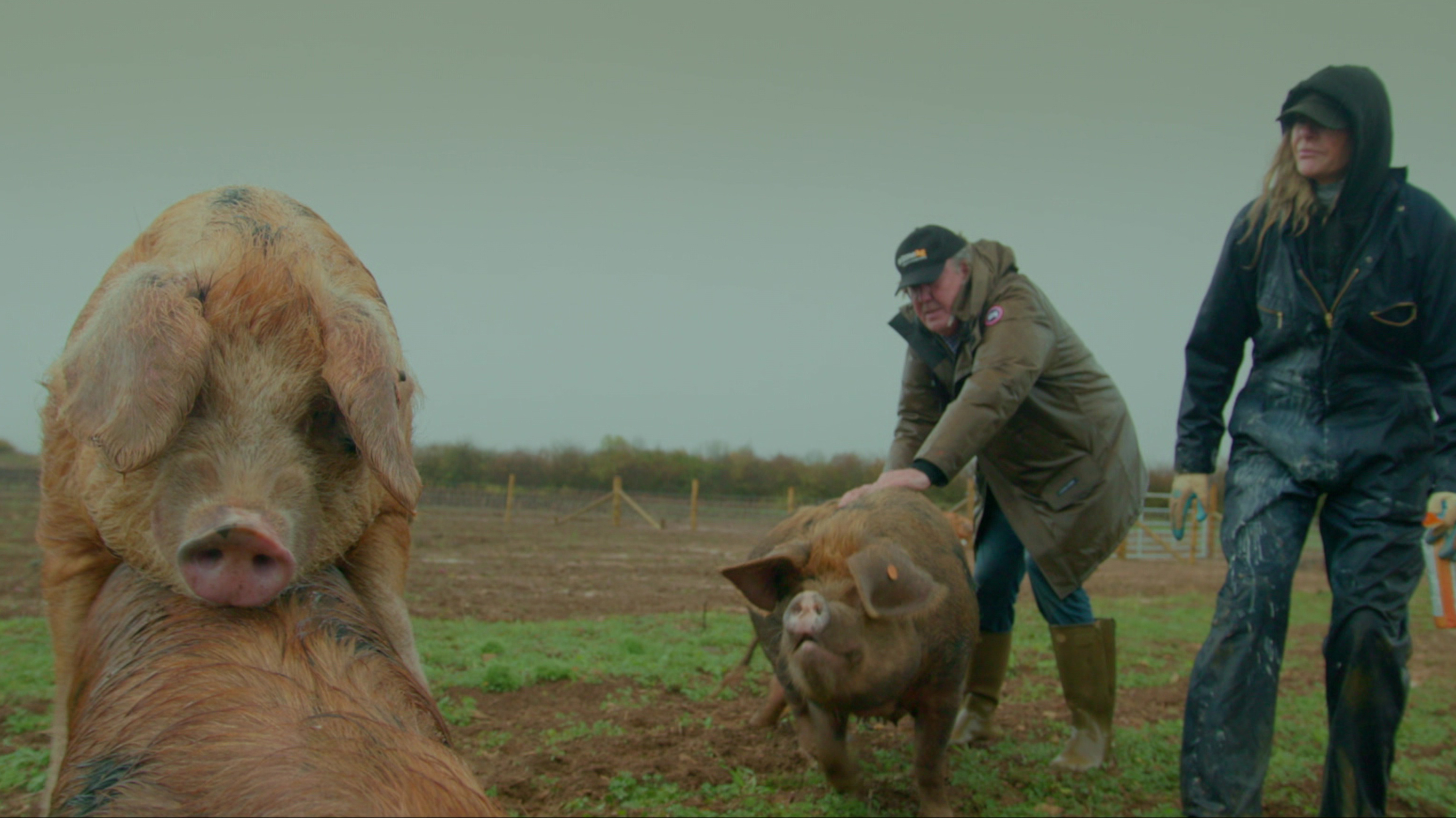 Clarkson's Farm