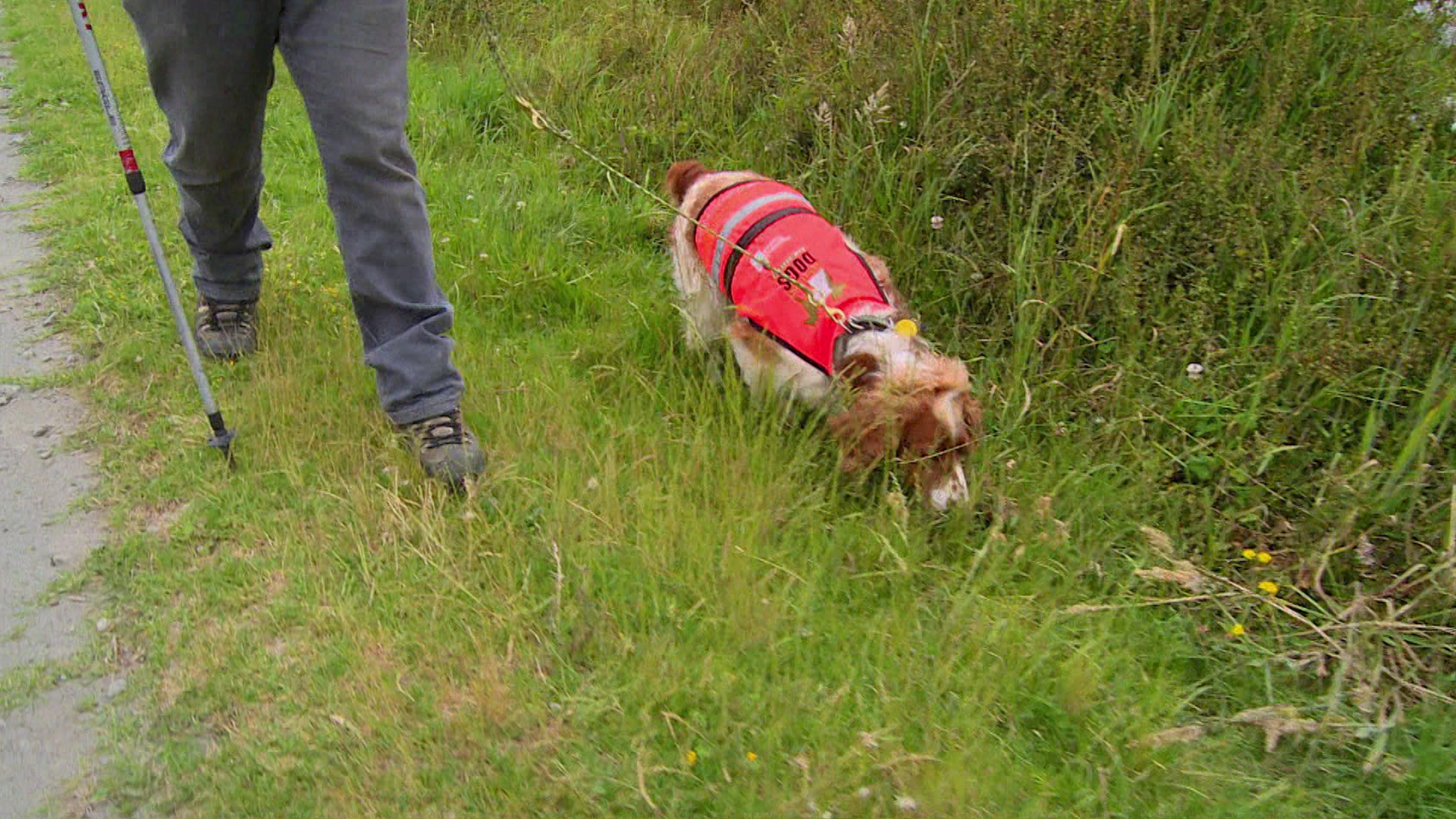 Border Security: Dog Patrol