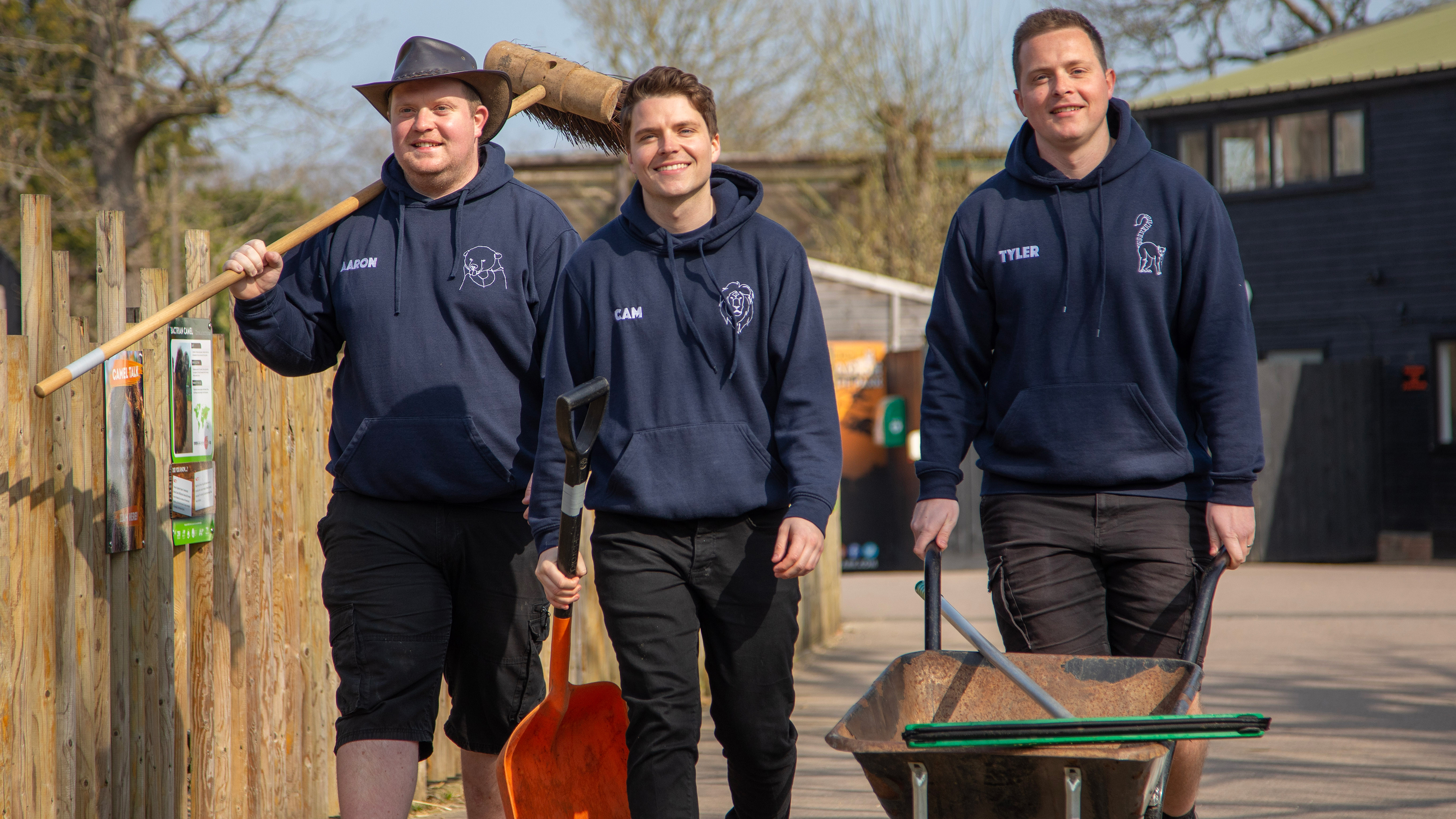 Odd Jobs