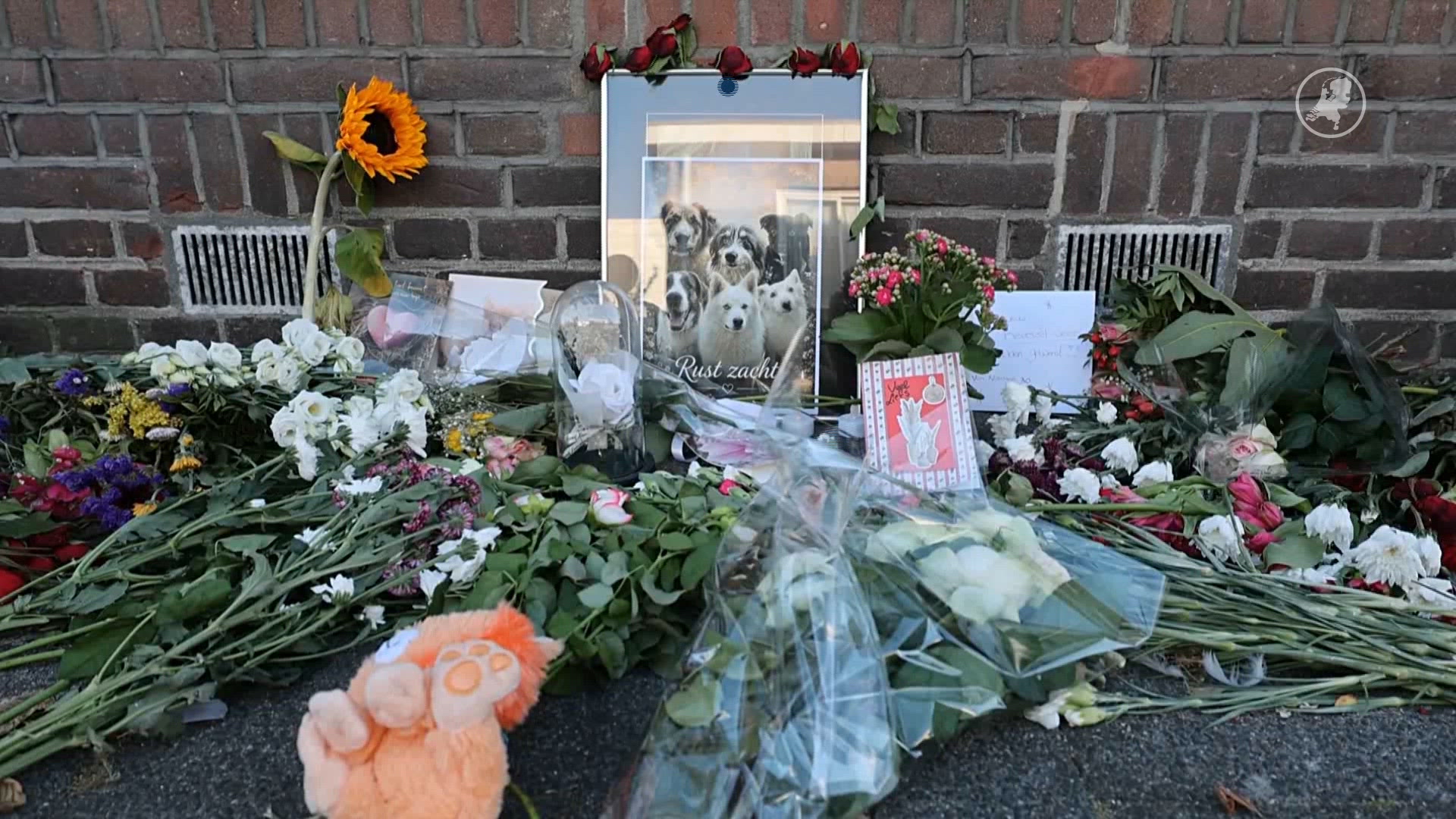 Bloemenzee voor omgekomen honden