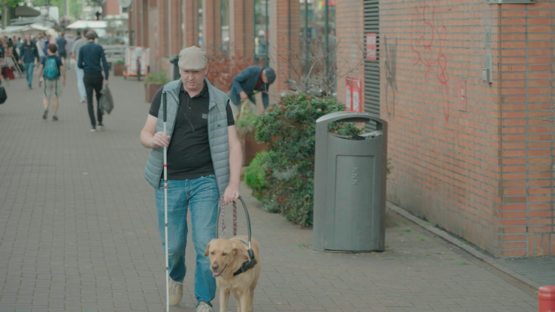 KNGF Geleidenhonden